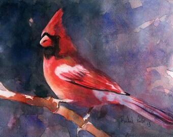 Cardinal Song Bird Art Print of my Painting Watercolor