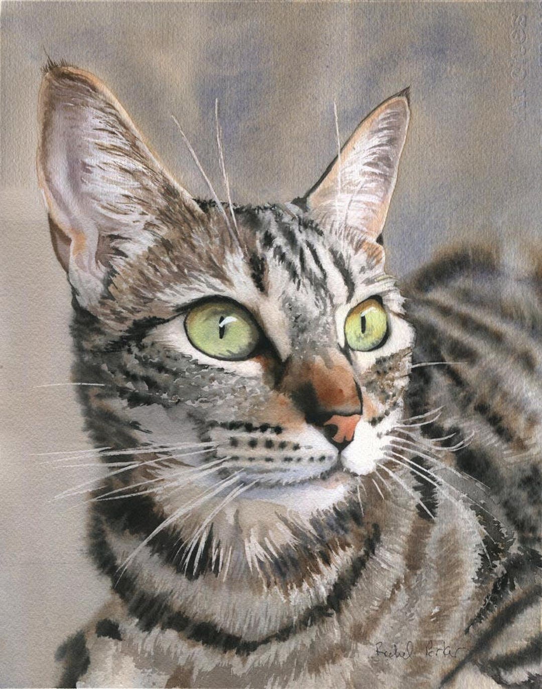 Tabby African Grey Cat Tabby Cat Art Print Of My Watercolor