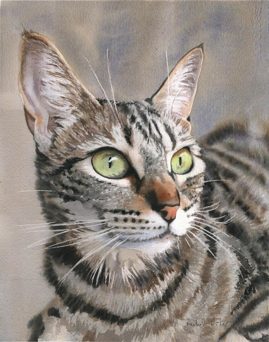 Tabby Cat Art Print of My Watercolor Painting Brown Gray Black Tiger ...