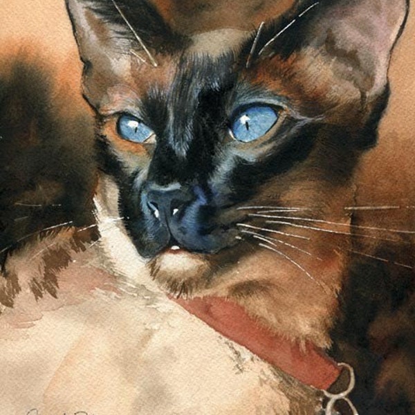 Siamese Cat Seal Point Art Painting Print of my watercolor painting Artwork by Artist Rachel Parker