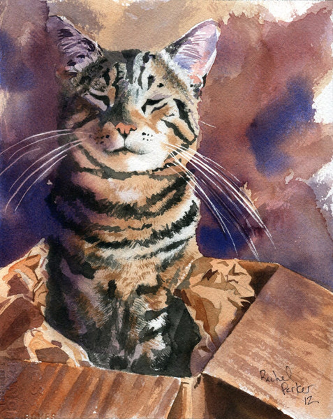 Brown Tabby Cat Art Print of My Watercolor Painting Cat in a Box - Etsy