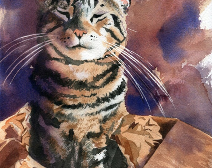 Brown Tabby Cat Art Print of My Watercolor Painting Cat in a Box - Etsy