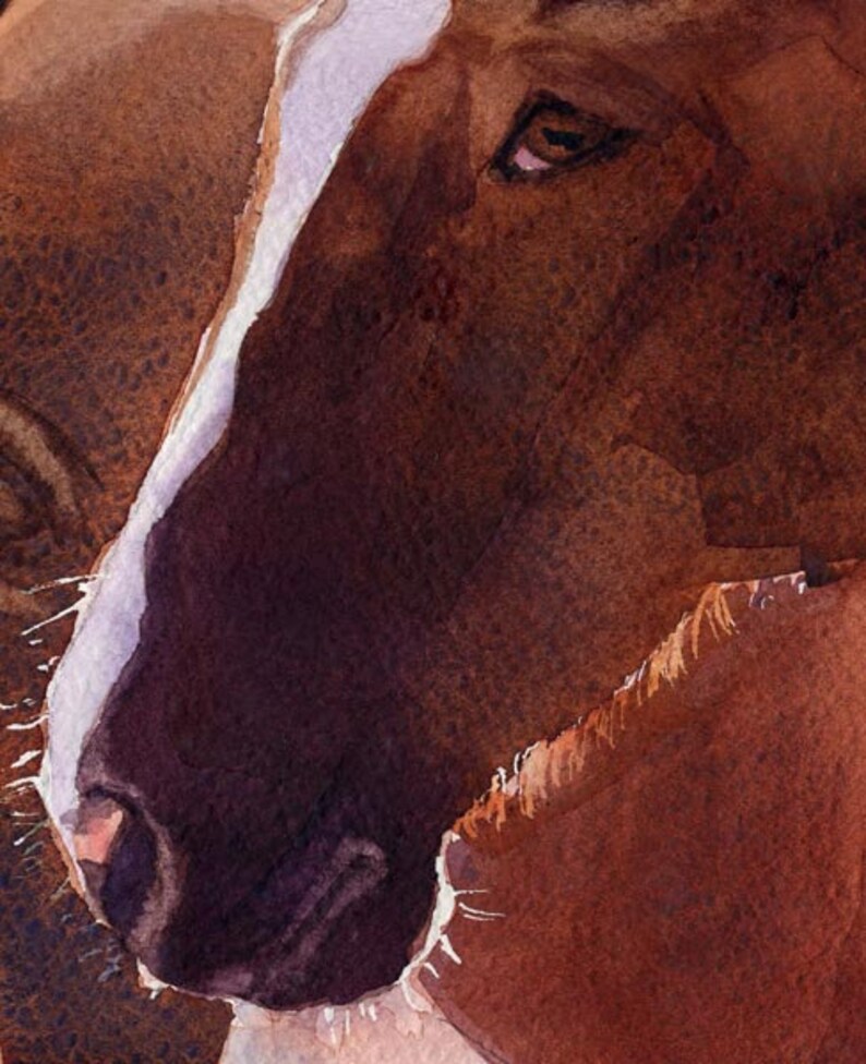 PRINT Quarter Horse Art Warmblood Horse From My Etsy