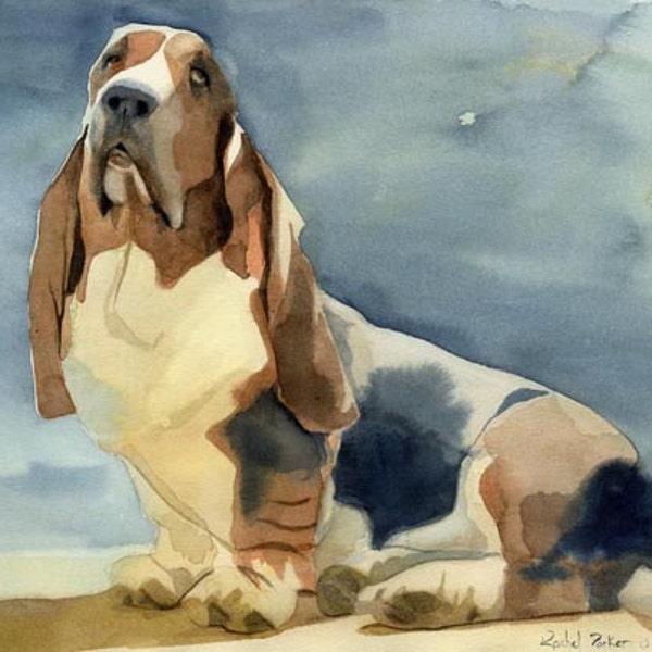 Basset Hound Dog Art Print moje malarstwo akwarela