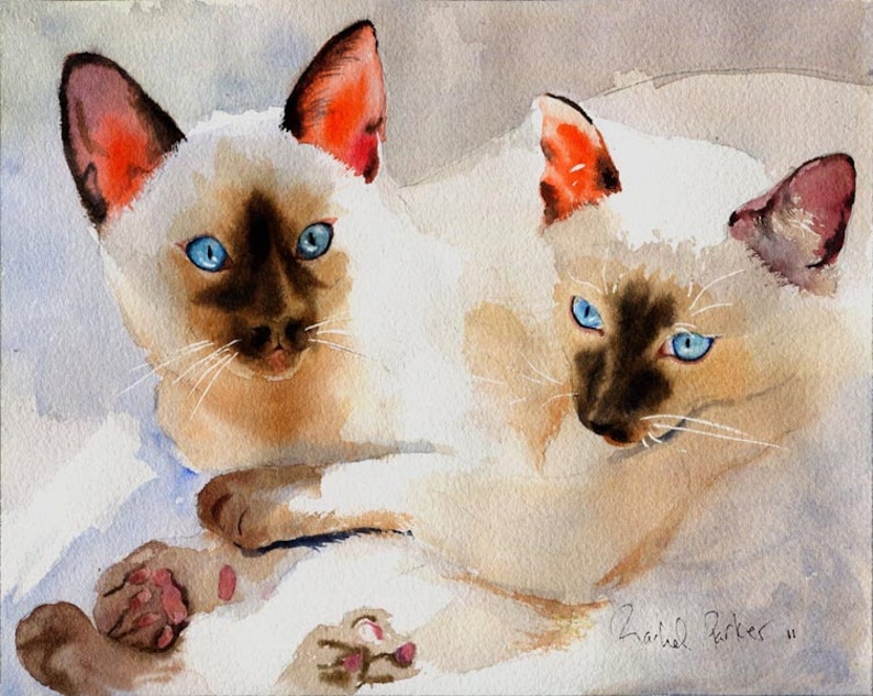 Siamese Cat Art PRINT Watercolor Painting Artwork Artist Etsy