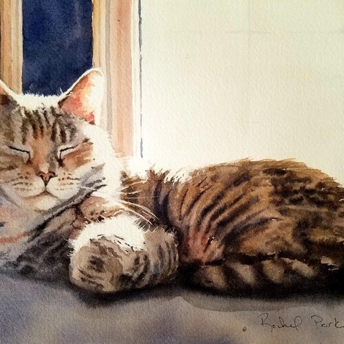 Brown Tabby Cat Art Print of My Watercolor Painting Cat in a - Etsy