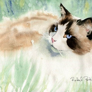 Ragdoll Cat Art  Print of my Watercolor Painting Portrait Gift Christmas unique large big huge hand painted