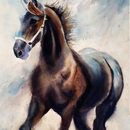 Friesian Horse Art Warmblood Yearling Print of a Etsy UK