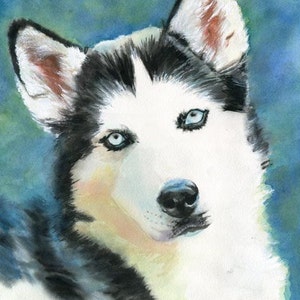 Siberian Husky Dog Art Print of my watercolor painting