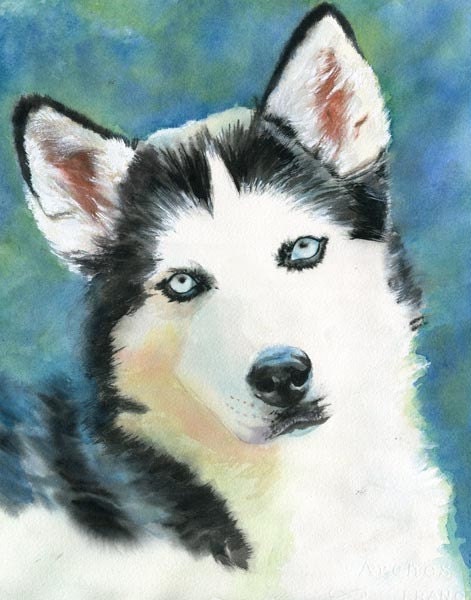真作保証　ハスキー犬の肖像画 油絵 F8 Valenzuela il_fullxfull.130323399.jpg