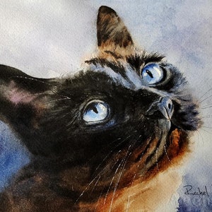 Beginner Watercolor Painting Tutorial  of a Seal Point Applehead Cat