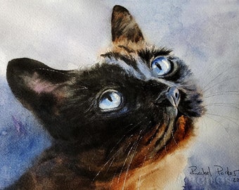 Beginner Watercolor Painting Tutorial  of a Seal Point Applehead Cat