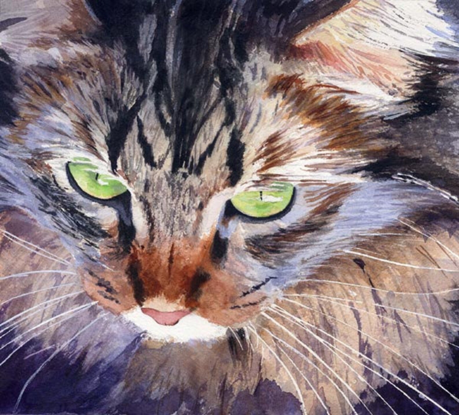 Maine Coon Tabby Cat Art Print of My Watercolor Painting .pepper. - Etsy