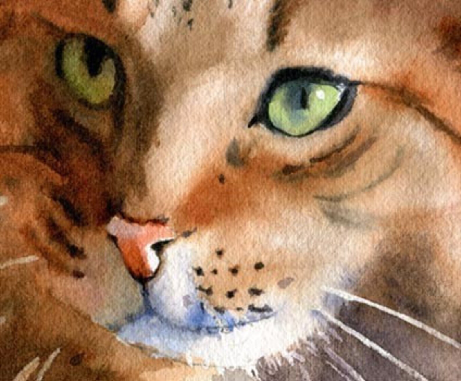 Maine Coon Tabby Cat Print of My Watercolor Painting Art - Etsy
