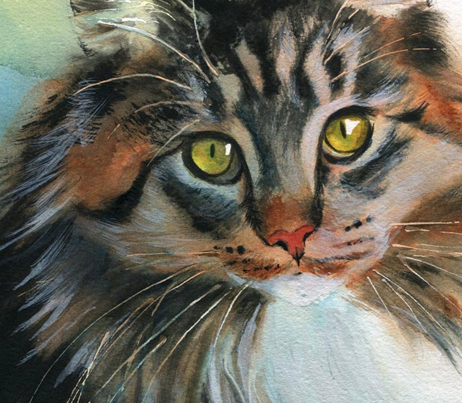 Maine Coon Tabby Cat Art Print of My Watercolor Painting Large Huge Big ...