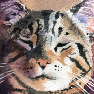 Brown Tabby Cat Art Print of My Watercolor Painting Cat in a Box - Etsy