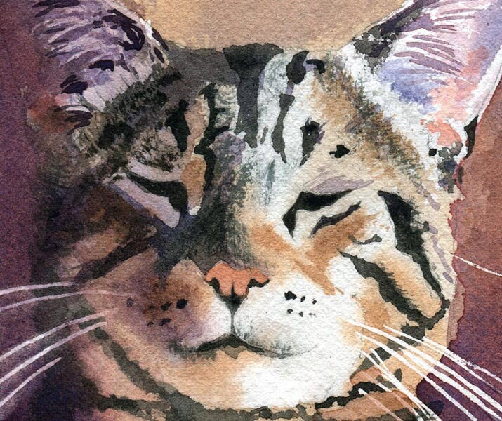 Brown Tabby Cat Art Print of My Watercolor Painting Cat in a Box - Etsy