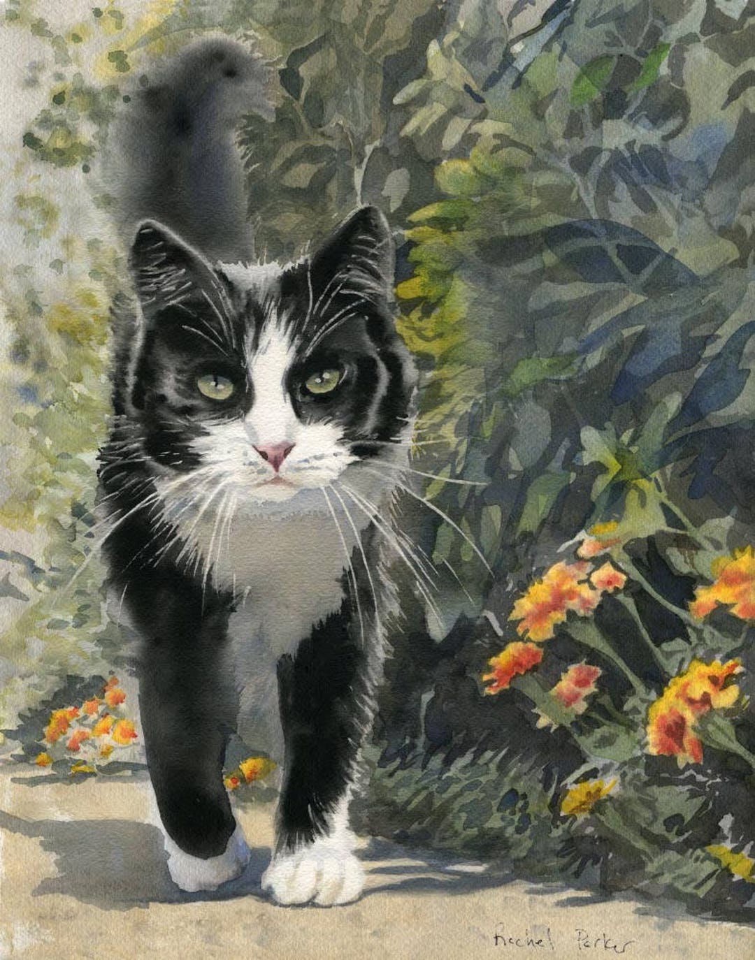 Cute Cat Watercolor Painting, Black and White Tuxedo Cat Art, Big Crazy  Eyes //NOT A Print // Original ART // Kids Room Art, Playful, Funny 