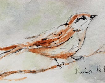 Tutorial de pintura de aves con acuarela para principiantes: Gorrión