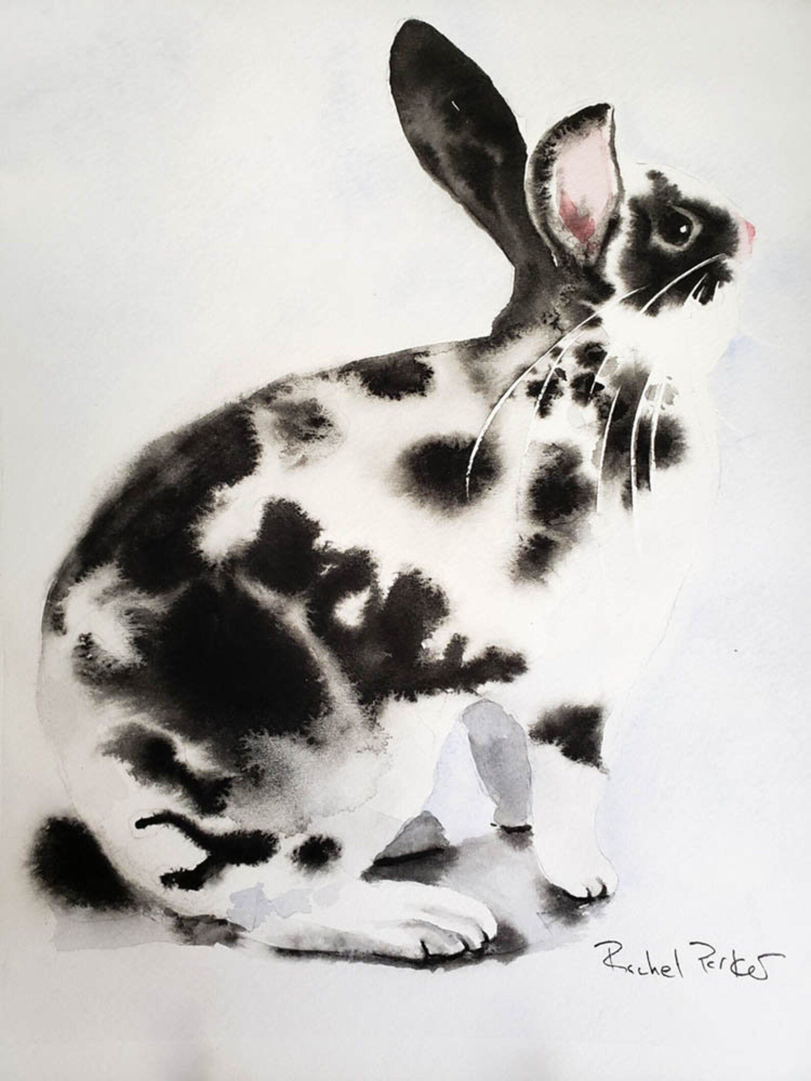 Original Black and White Rex Bunny Rabbit Art Realistic - Etsy