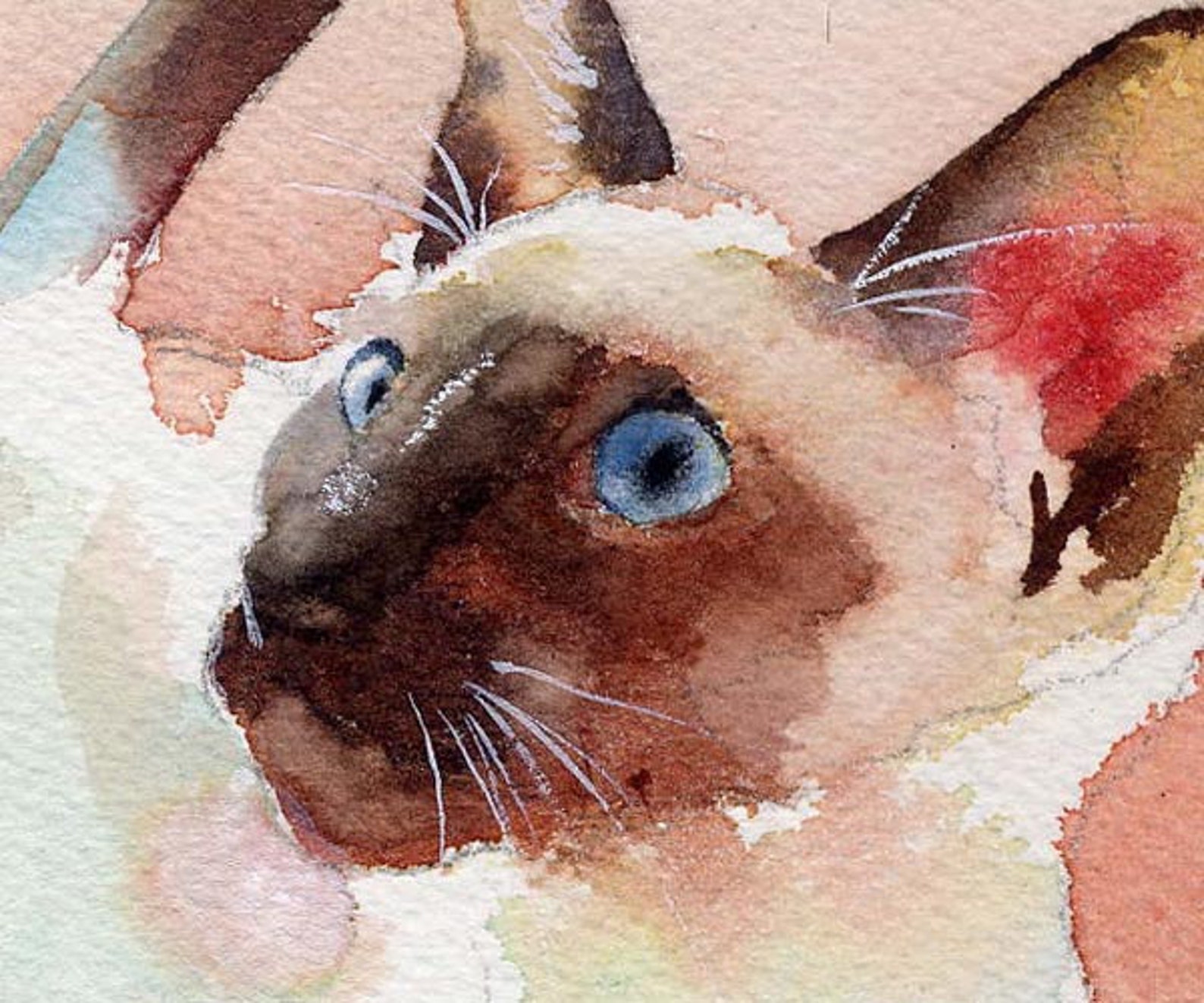 Siamese Cat Art Print of My Watercolor Painting Seal Point Etsy