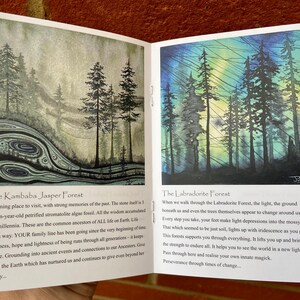 May include: Open book featuring two forest paintings. The left shows a forest with dark trees and a swirling pattern. The right depicts a forest with colourful skies and trees. Text on the pages describes the forests and their properties.