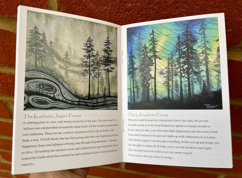 May include: Open book featuring two forest paintings. The left shows a forest with dark trees and a swirling pattern. The right depicts a forest with colourful skies and trees. Text on the pages describes the forests and their properties.