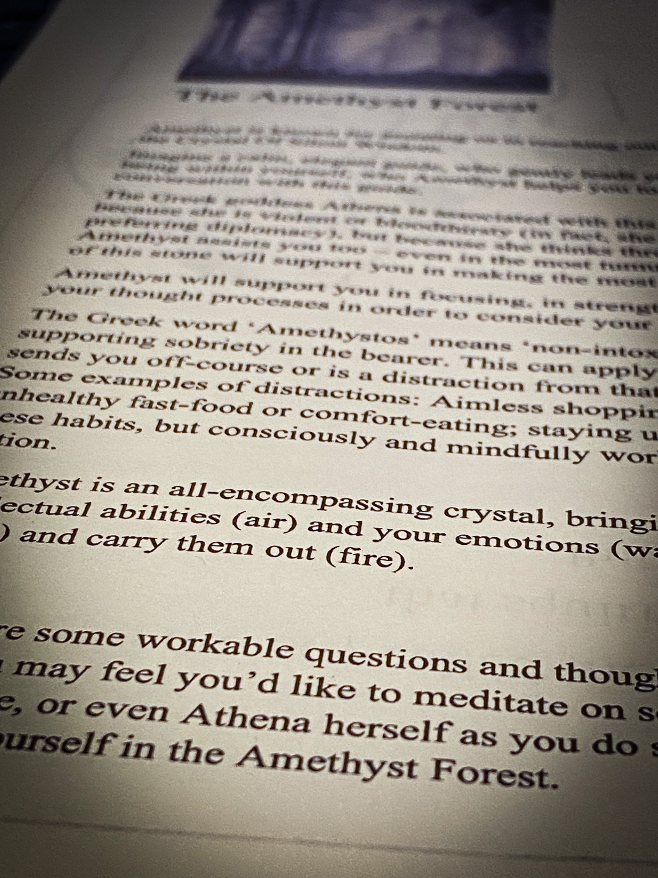 Crystal Forests Worksheet Pdf Digital Download - the Amethyst Forest - Etsy