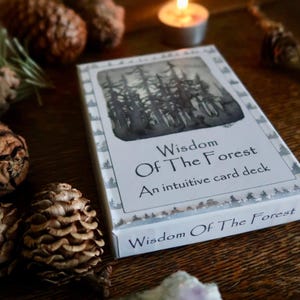 Wisdom of the Forest Oracle Deck - Hand-Painted Intuitive Cards for Meditation, Spiritual Guidance & Daily Reflection image 2