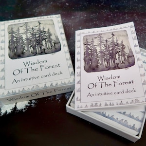 Wisdom of the Forest Oracle Deck - Hand-Painted Intuitive Cards for Meditation, Spiritual Guidance & Daily Reflection image 11