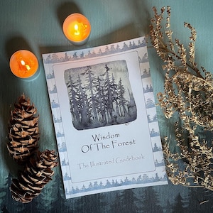 Sagesse de la forêt - Le guide illustré - méditation - cartes oracle - bien-être - - yoga