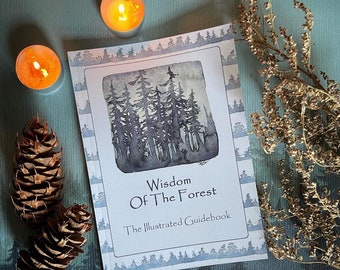 May include: A book titled "Wisdom of the Forest: The Illustrated Guidebook" with a watercolour illustration of a forest on the cover. The book is on a blue and white patterned surface with two lit tea lights and pine cones.