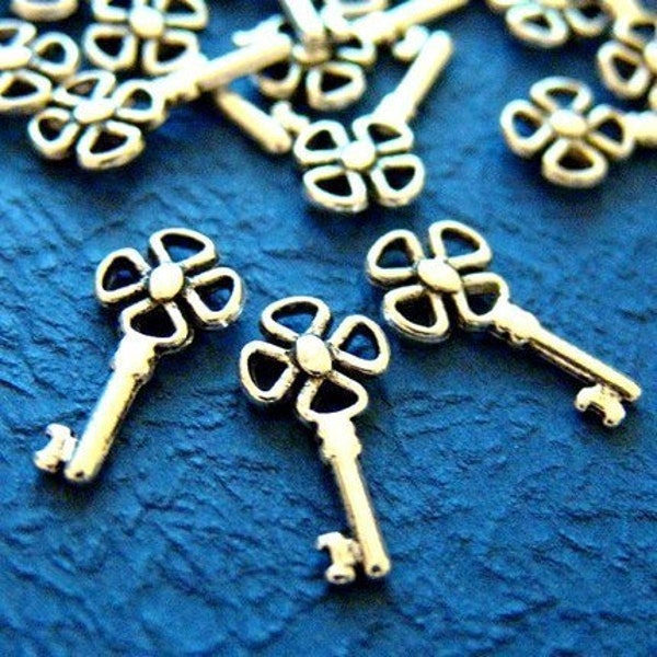 Clearance 80pcs Antique Silver Key Charms (21mm ) YJ-1539