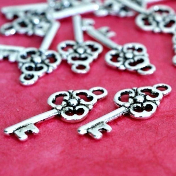 Clearance 27pcs Antique Silver Key Charms (23mm )