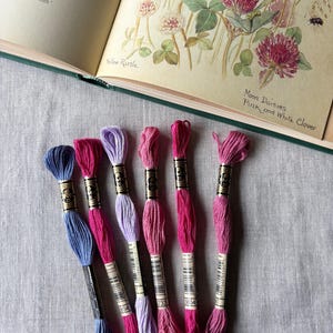 May include: Six skeins of embroidery floss in shades of blue, lavender, and various pinks, each featuring a gold and black label with the text DMC 25. The skeins are arranged vertically next to an open book with botanical illustrations.