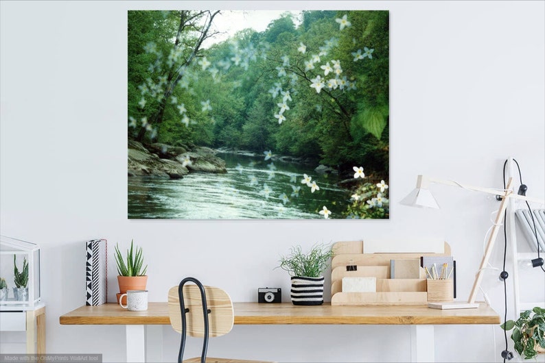 river flora: nature photography. surreal photograph. dreamy photo. flower photo. enchanted forest fairytale woods. multiple exposure photo. image 2