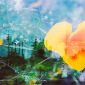 industrial organic: double exposure 35mm film photography. dreamy surreal art. industrial landscape wall art. botanical print. oil refinery
