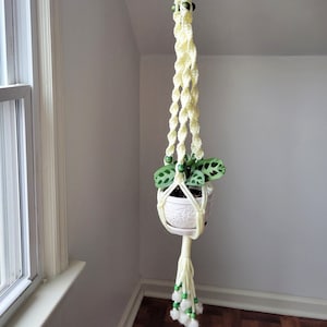 May include: A macrame plant hanger with a white cord and green beads. The hanger is holding a white pot with a green plant.