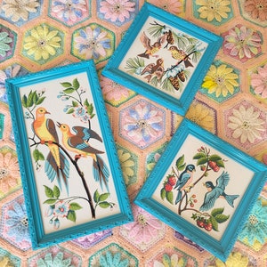 Vintage Set of 3 Song Birds Paint by Number 60's Framed Mid Century