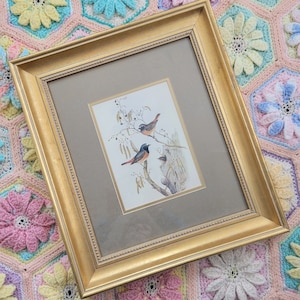 Vintage Framed and Matted John Gould Birds of Great Britain Redstart Bird Print