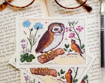 Owl Book Plates - Bird bookplate Sticker Set - Personalized Bookplate Stickers - Customized Bookish Gift for Readers - Book Labels