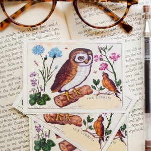 Owl Book Plates - Bird bookplate Sticker Set - Personalized Bookplate Stickers - Customized Bookish Gift for Readers - Book Labels