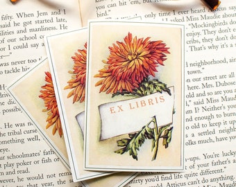 Autumn Mum Book Plate Set - Personalized Floral Bookplates - Ex Libris - Customized Book Labels - Bookish Gift for Gardeners