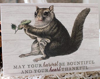 squirrel note card set - fall Autumn greeting cards - harvest notecards - Thanksgiving greeting card - funny Thanksgiving card - squirrels