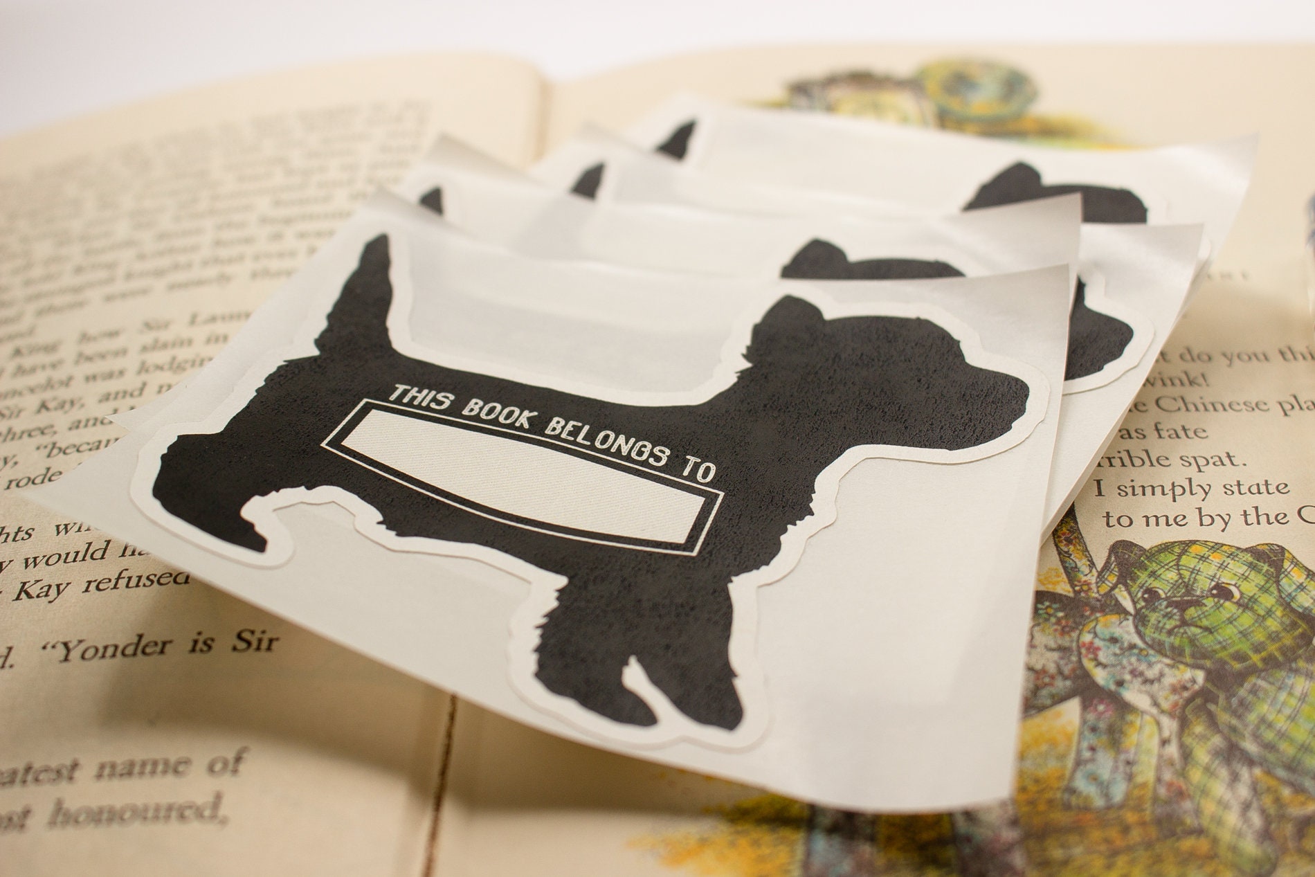 Personalized Bookplates for kids custom book plate stickers Etsy