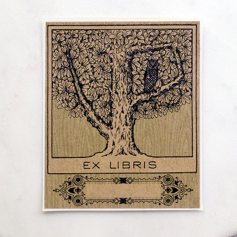Owl bookplates custom book plates Ex Libris bird Etsy