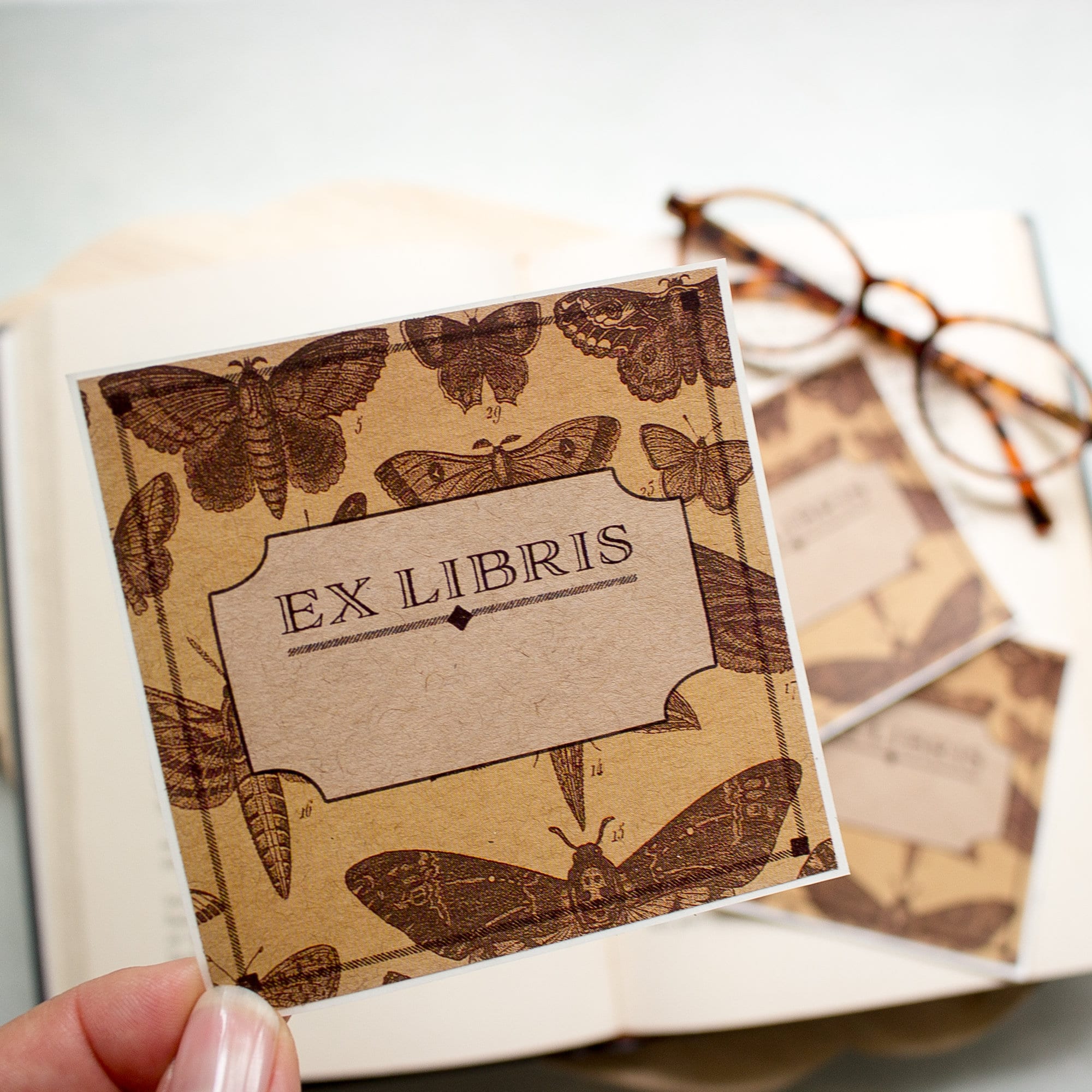 Botanical Moth Bookplates Personalized Book Plates Ex Etsy Canada