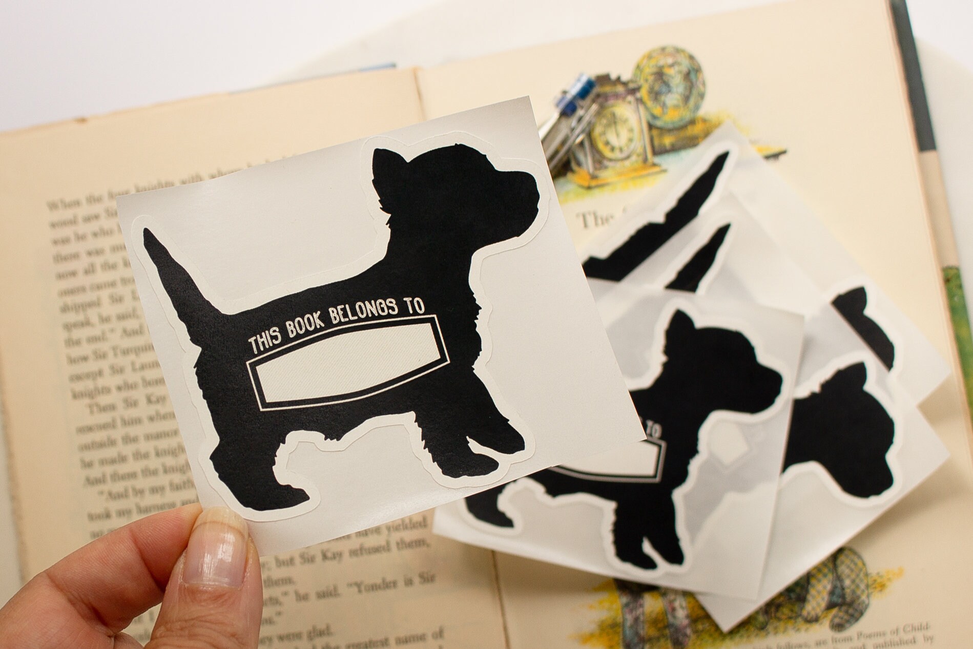 Personalized Bookplates for Kids Custom Book Plate Stickers Etsy UK