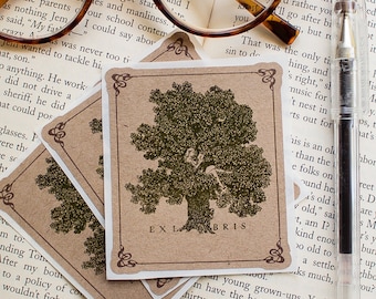Girl in Tree Bookplate Stickers - Personalized Ex Libris Labels