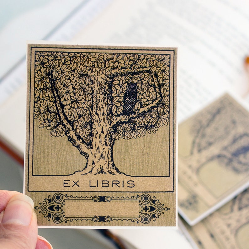 Owl bookplates custom book plates Ex Libris bird Etsy